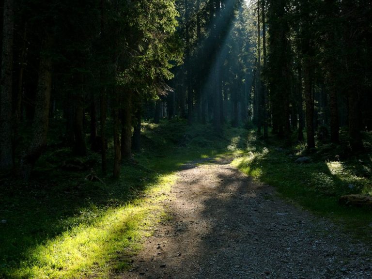 Ruhiger Pfad als Symbol für Orientierung