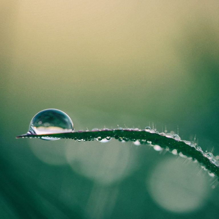 Symbol Wassertropfen auf Blatt für gesunde Ernährung und Ausgewogenheit